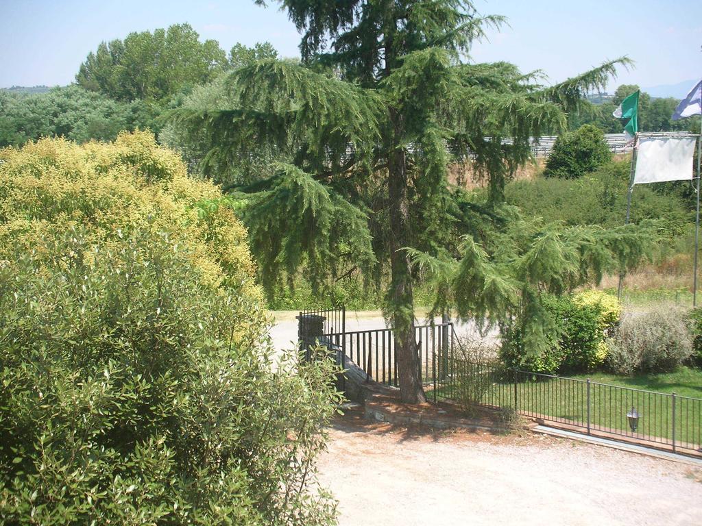 Affittacamere La Fornace Rigomagno Exterior photo